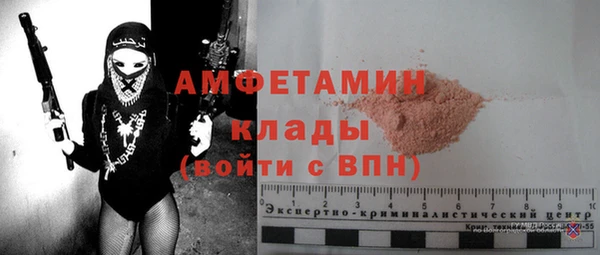меф Ельня