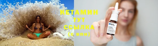 трава Елизово