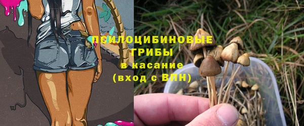 меф Переславль-Залесский