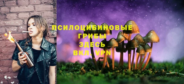 меф Ельня