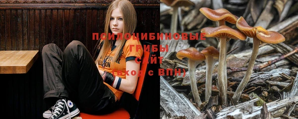 трава Елизово