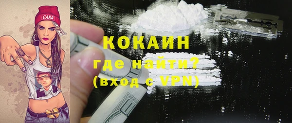 меф Ельня