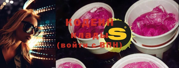 меф Ельня