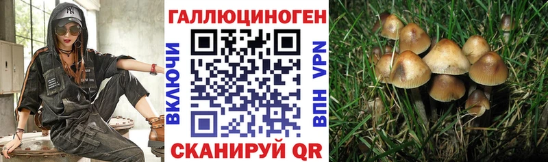 Псилоцибиновые грибы ЛСД  Печоры 
