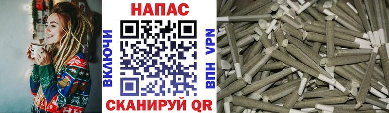даркнет состав  дарнет шоп  Печоры  Конопля сатива 